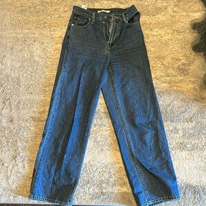Levis High Waisted Straight Jeans, size 25